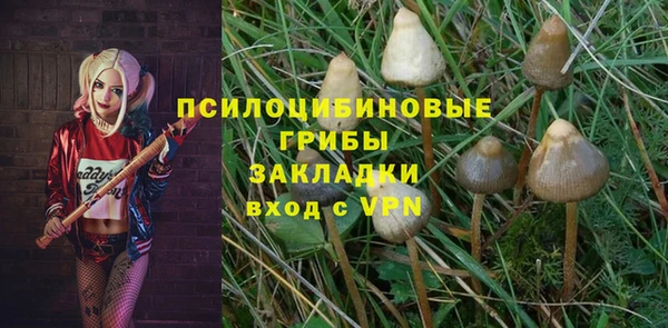 крисы Балахна