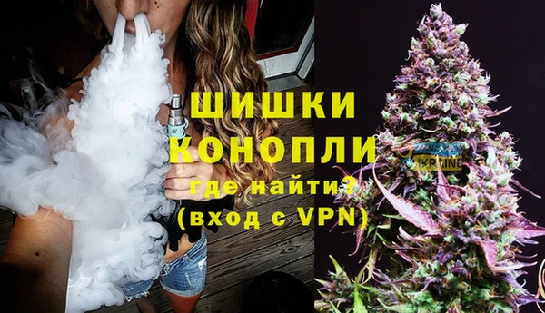 винт Ельня