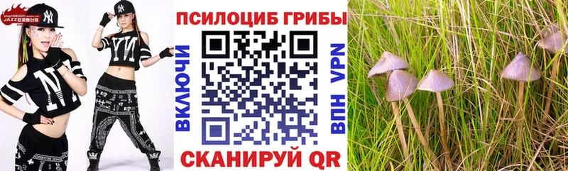 Псилоцибиновые грибы мухоморы  Новомосковск 