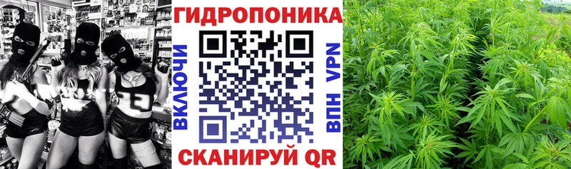 ОМГ ОМГ ССЫЛКА  Новомосковск  Каннабис марихуана 